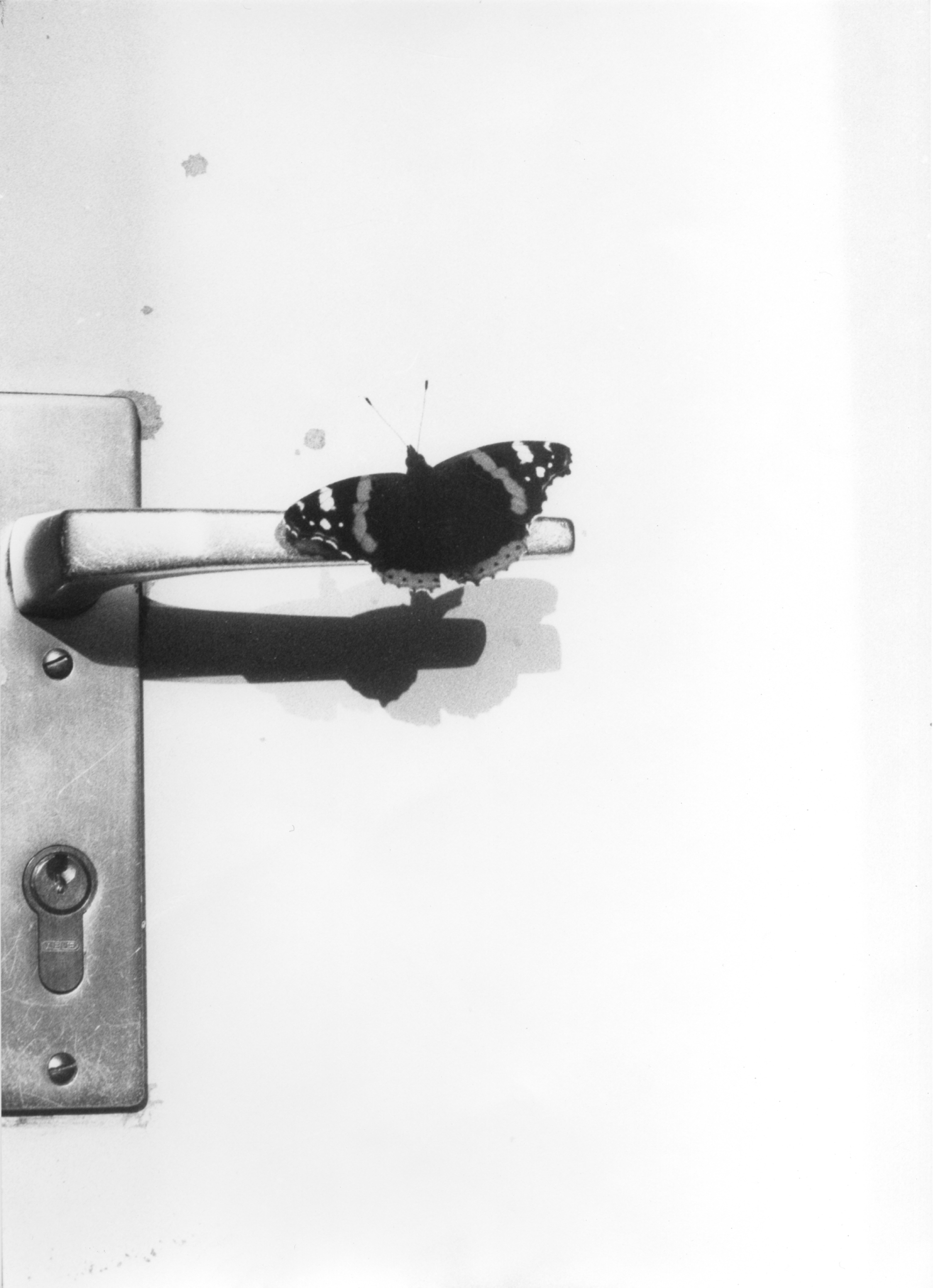 Jochen Lempert | MACS